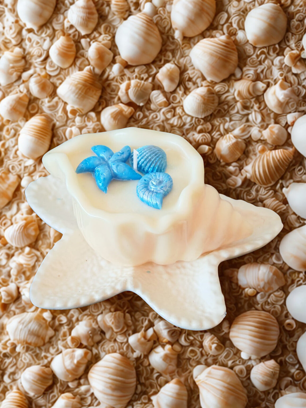 Seaside Candle Gift Set - Handmade Shell Candle with Gypsum Ceramic Starfish Plate